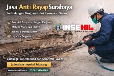 Jasa Anti Rayap Surabaya