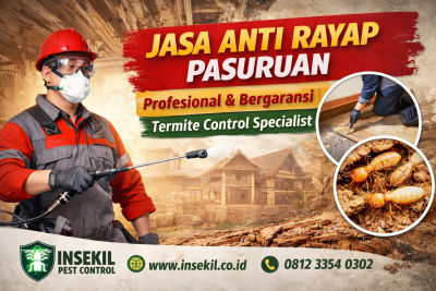 Jasa Anti Rayap Pasuruan Bergaransi